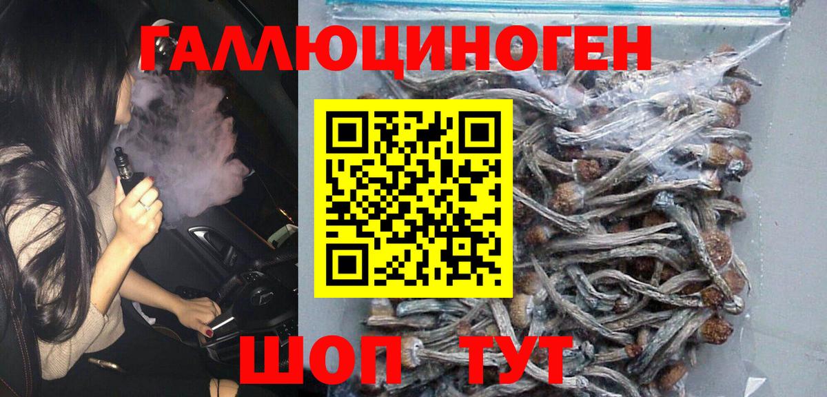 Киселёвск  Псилоцибиновые грибы MAGIC MUSHROOMS  Псилоцибиновые грибы Magic Shrooms  Вход с VPN 