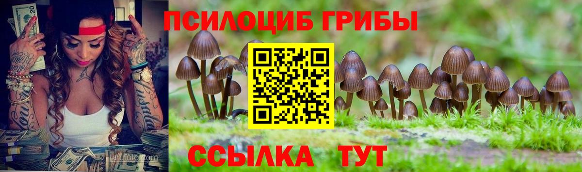 Псилоцибиновые грибы GOLDEN TEACHER Киселёвск